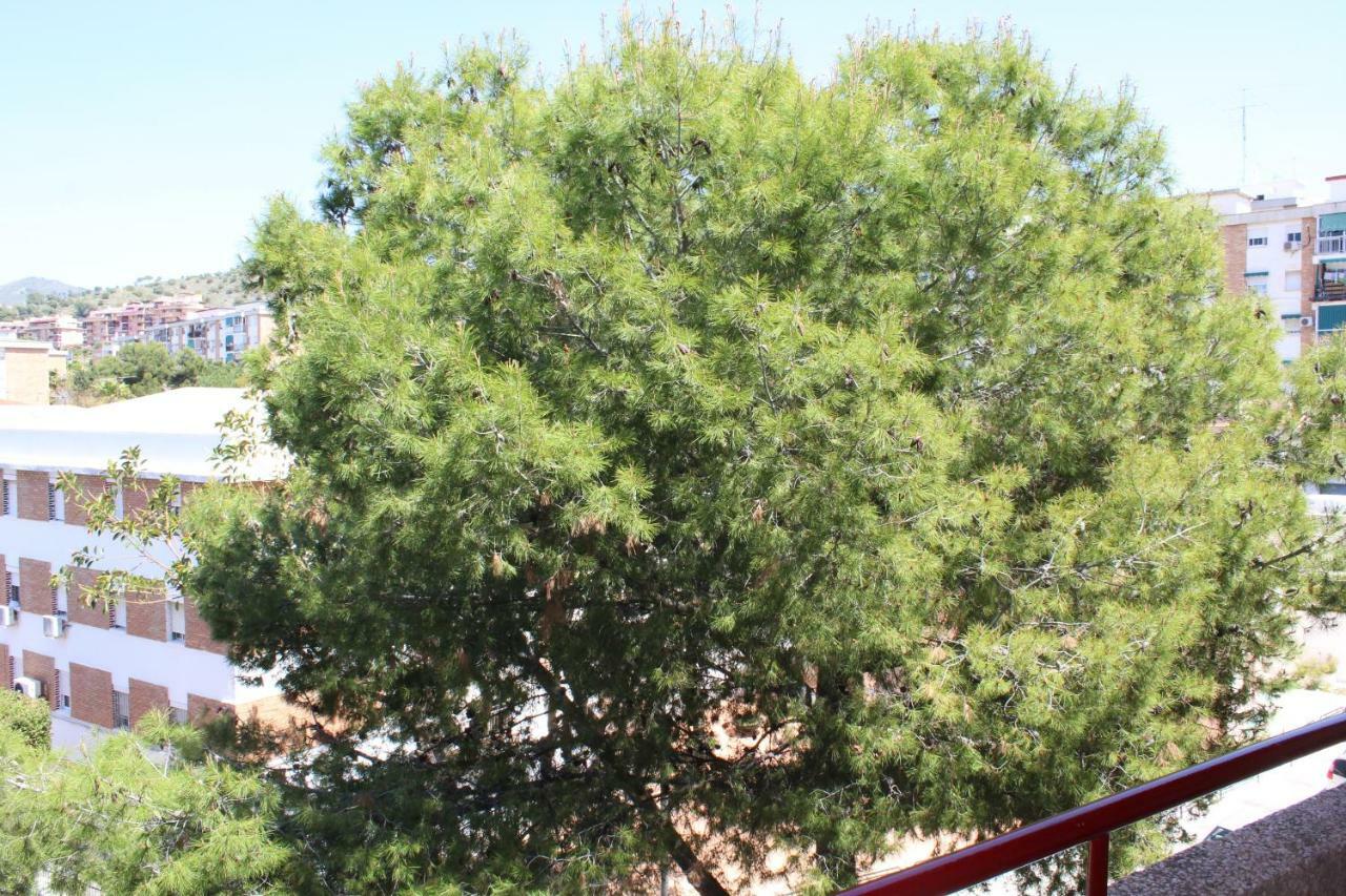 Apartamento Con Parking Gratuito マラガ エクステリア 写真